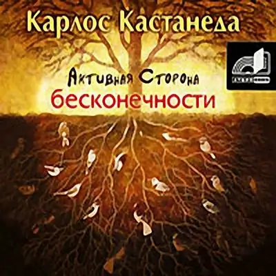 Активная сторона бесконечности Кастанеда Карлос Активная сторона бесконечности Кастанеда Карлос