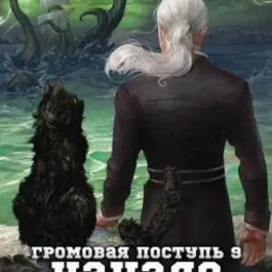 Дмитрий Мазуров — Громовая поступь 9. Начало шторма