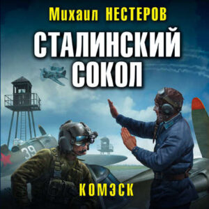 Комэск Нестеров Михаил