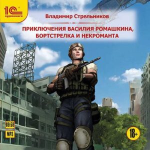 Приключения Василия Ромашкина, бортстрелка и некроманта Стрельников Владимир