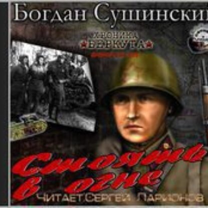 Стоять в огне  Сушинский Богдан