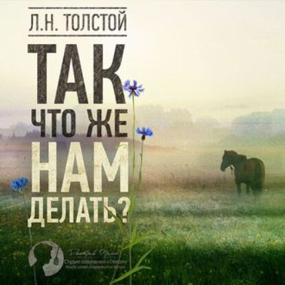 Толстой Лев – Так что же нам делать?