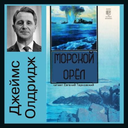 Олдридж Джеймс – Морской орел