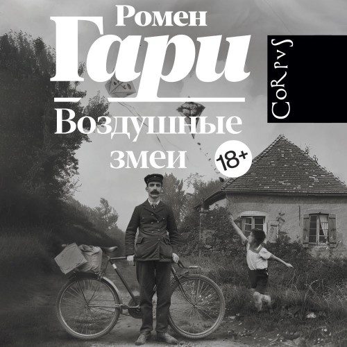 Гари Ромен - Воздушные змеи