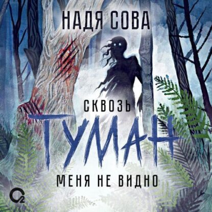 Сова Надя — Сквозь туман меня не видно
